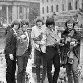 The Byrds with birds