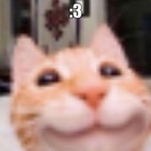 Avatar for Aceitunazz