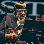 James Blood Ulmer (13).jpg