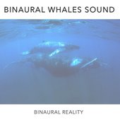 Binaural Whales Sound