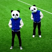 pandas!.jfif