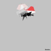 Shelter - Single