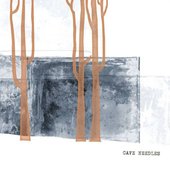 Cave Needles