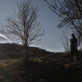 3540435536_photo.jpg