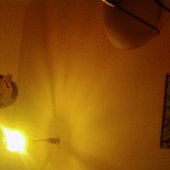 your room?