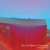 Days Of Bright Commotion