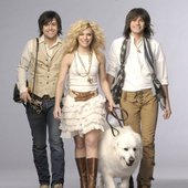 Band Perry (:
