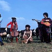 Martin Circus