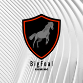 Avatar for TheBigFoal