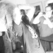 IMG_8748 copy