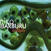 Anfibio