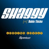 Looking Lovely (feat. Robin Thicke & ZEDDY WILL) [Remix]
