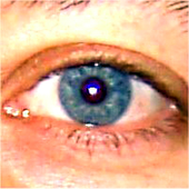 WatayaNoboru için avatar