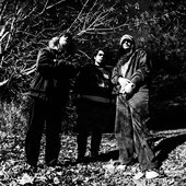 Buffalo Hardcore
