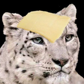 RI0TPANDA için avatar