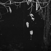 https://vurkolakkrypt.bandcamp.com/album/invoke-the-transylvanian-nightmares