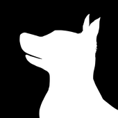 dogbestdog 的头像