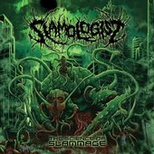 The Science of Slammage