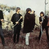 The Byrds