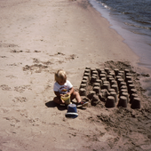 Muir_Beach さんのアバター