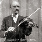 Fiddler JD Harris of Flag Pond.jpg