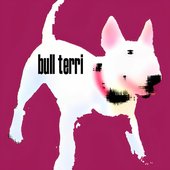 bull terri