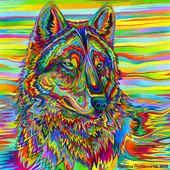 Avatar for Ice_Captain