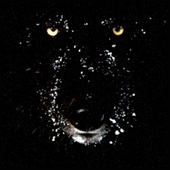 Macwolf