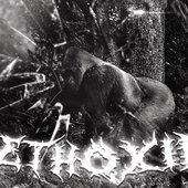 Soundcloud banner