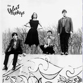 the velvet monkeys