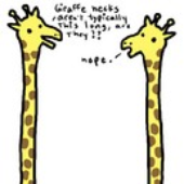LastFM profile picture for @giraffes