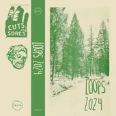 Loops  2024