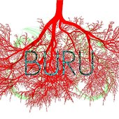 Buru