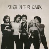 Shot in the Dark