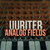 Analog Fields