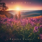 Fragile Voices