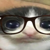 Avatar for Rudekyohora