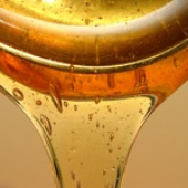 honeysyrup 的头像
