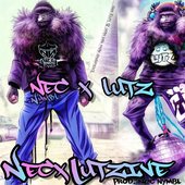 NEC NYMBL X LUTZ 1.jpg