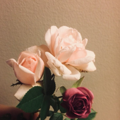 Dylan_Carlson 的头像