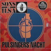 Pulsingers Nacht