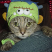 Avatar for monkeydub