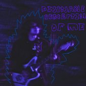Disposable Perception of Me