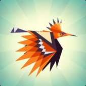 grave_bird 的头像