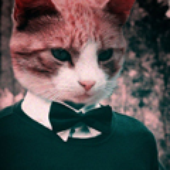 Mr__Goodkat için avatar