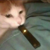 YaBoiDaniel777 的头像