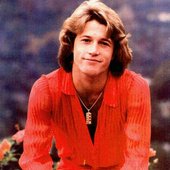  Andy Gibb