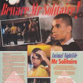 Animal Nightlife - Mr. Solitaire (1984)
