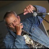 Chris Wilson - Harmonica