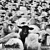 tramatik-black-sheep-2018.jpg